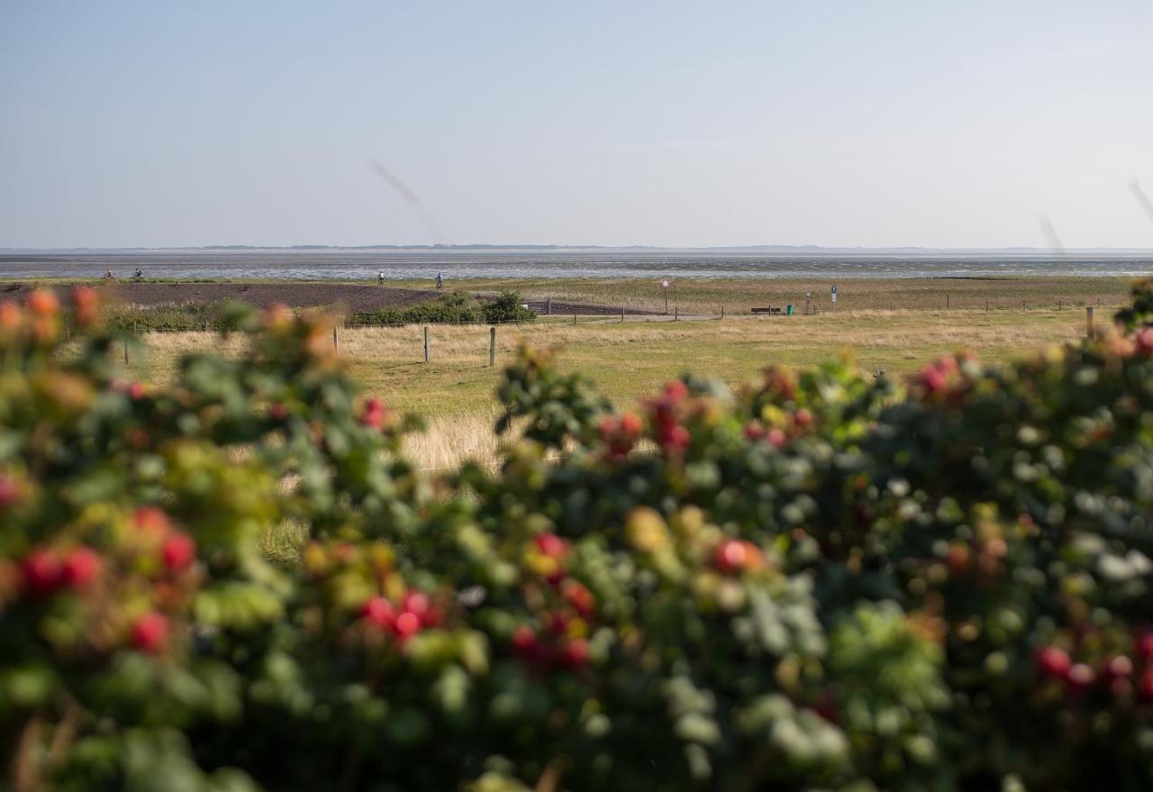 Haus Braeaetlun Ferienwohnung Braeaetlun 3 Norddorf auf Amrum Extérieur photo