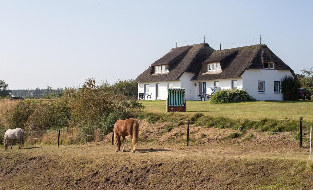 Haus Braeaetlun Ferienwohnung Braeaetlun 3 Norddorf auf Amrum Extérieur photo