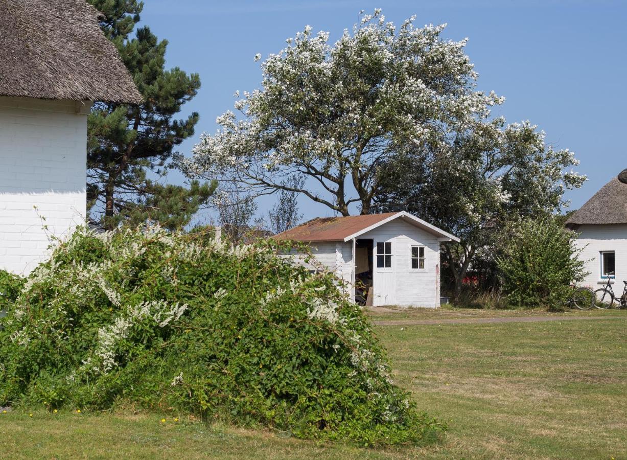 Haus Braeaetlun Ferienwohnung Braeaetlun 3 Norddorf auf Amrum Extérieur photo
