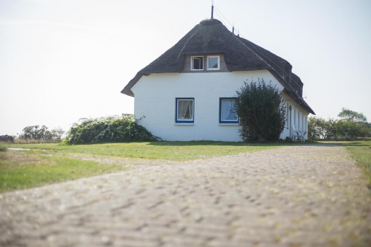 Haus Braeaetlun Ferienwohnung Braeaetlun 3 Norddorf auf Amrum Extérieur photo